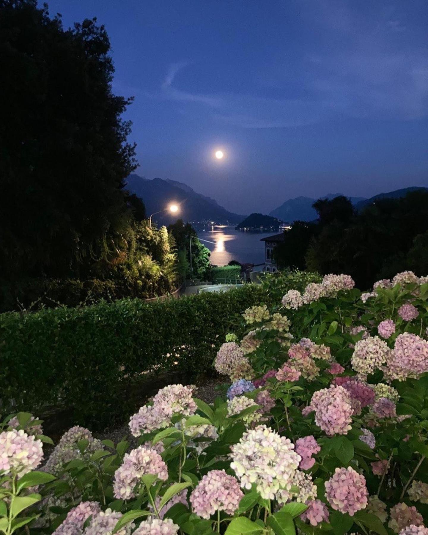 Hotel Loveno เมนาจโจ ภายนอก รูปภาพ
